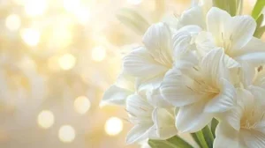 Dr. Dana Mann Obituary, Cause of Death - MIDDLETON Family Physician Dies at 46